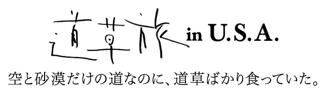 道草旅in U.S.A. 空と砂漠だけの道なのに、道草ばかり食っていた。