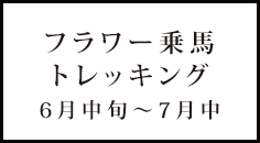 フラワー乗馬トレッキング 6月中旬～7月中