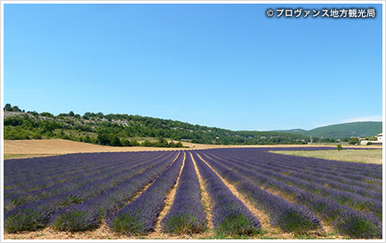 プロヴァンス (フランス)