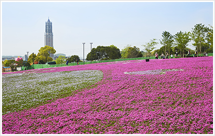 長崎 ハウステンボス (日本)