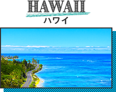 HAWAII ハワイ