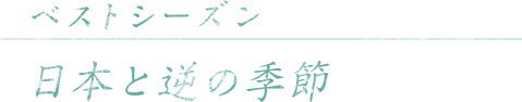 ベストシーズン