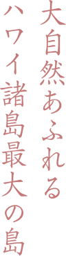 大自然あふれるハワイ諸島最大の島