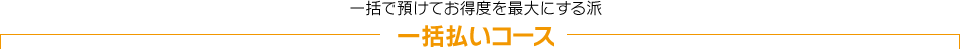 一括で預けてお得度を最大にする派 一括払いコース