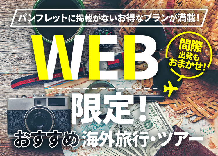 WEB限定