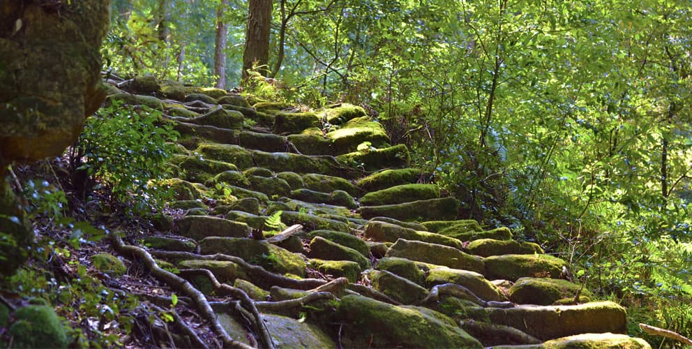 紀伊山地の霊場と参詣道