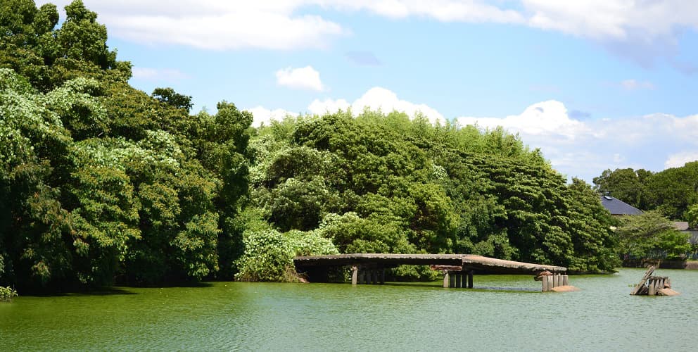 百舌鳥・古市古墳群‐古代日本の墳墓群