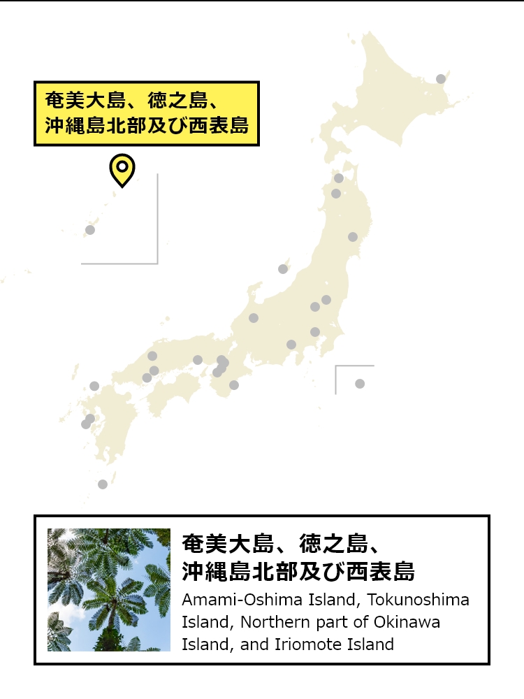 奄美大島、徳之島、沖縄島北部及び西表島の場所