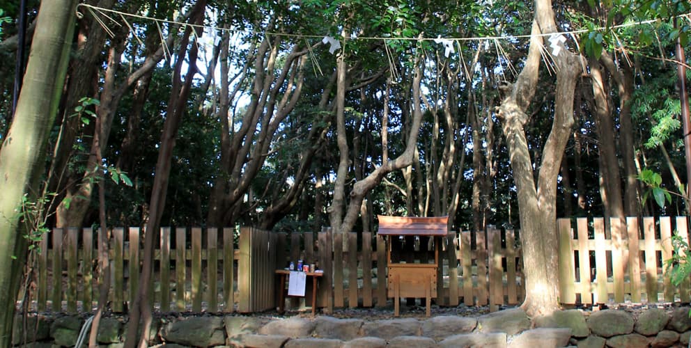 神宿る島宗像沖ノ島と関連遺産群