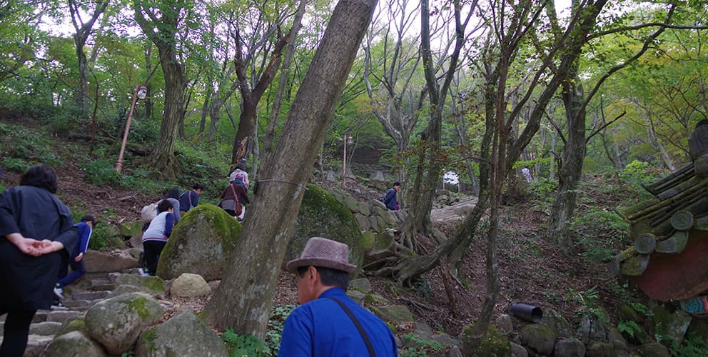 石窟庵と仏国寺