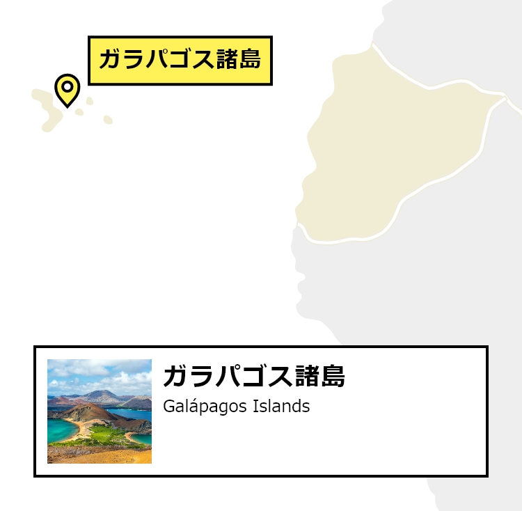 日本から日本からガラパゴス諸島への行き方