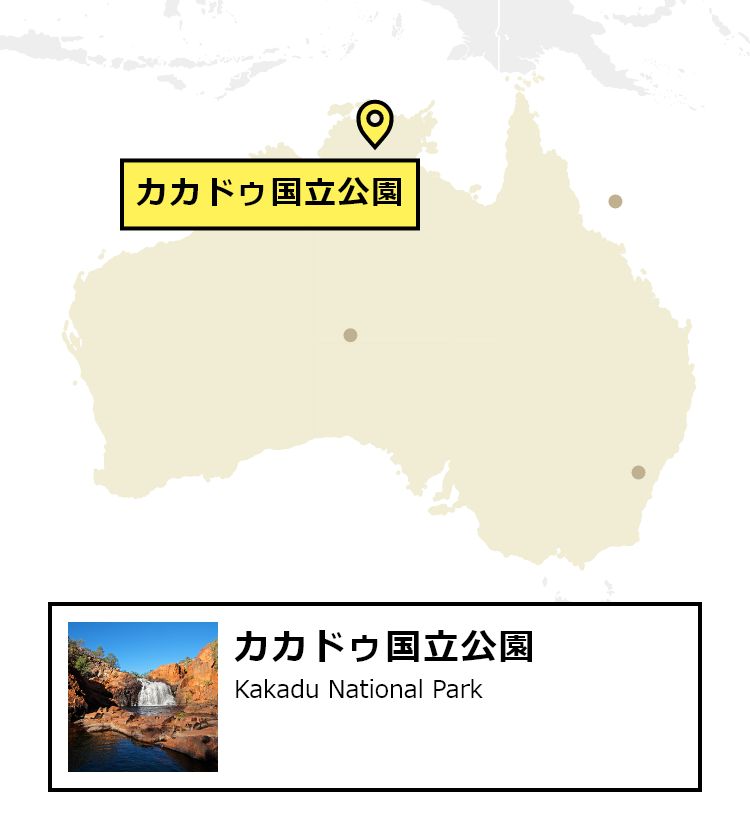 日本からカカドゥへの行き方