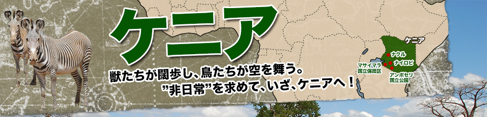 獣たちが闊歩し、鳥たちが空を舞う。 ”非日常”を求めて、いざ、ケニアへ！　ケニア