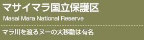 マサイマラ国立保護区 マラ川を渡るヌーの大移動は有名