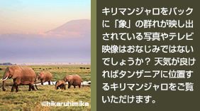 キリマンジャロをバックに「象」の群れが映し出されている写真やテレビ映像はおなじみではないでしょうか？ 天気が良ければタンザニアに位置するキリマンジャロをご覧いただけます。