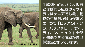 ケニアでも最も動物の生息数が多い保護区の一つで「ビッグ5」（ゾウ、バッファロー、サイ、ライオン、ヒョウ」全部と遭遇できる確率が高い保護区となっています。