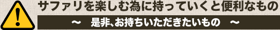 サファリを楽しむ為に持っていくと便利なもの ～　是非、お持ちいただきたいもの　～