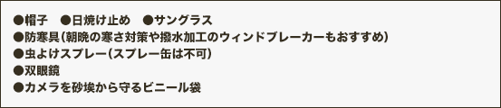 ●帽子　●日焼け止め　●サングラス●防寒具（朝晩の寒さ対策や撥水加工のウィンドブレーカーもおすすめ）　●虫よけスプレー（スプレー缶は不可）●双眼鏡 ●カメラを砂埃から守るビニール袋