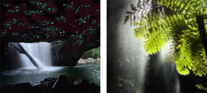 スプリングブルック国立公園(イメージ)