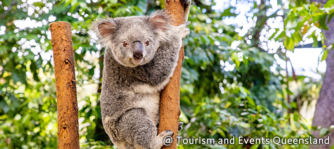 カランビンワイルドライフサンクチュアリー(イメージ)
