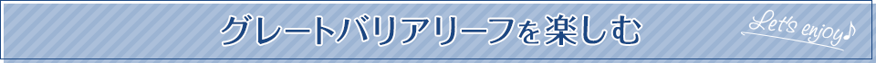 グレートバリアリーフを楽しむ