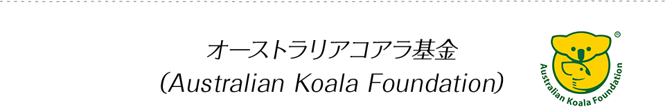 オーストラリアコアラ基金（Australian Koala Foundation）