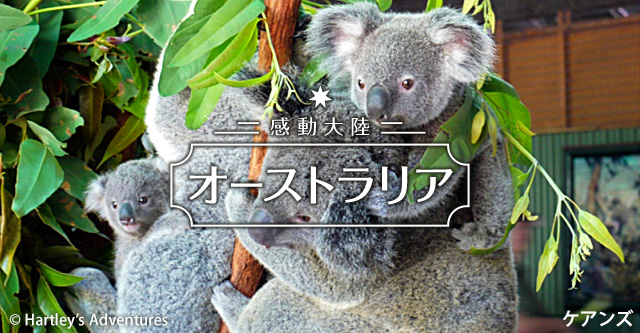 感動大陸オーストラリア ケアンズ