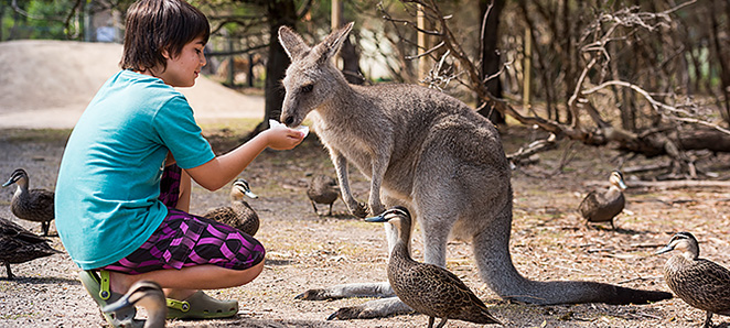 ムーンリット・サンクチュアリ―(イメージ)