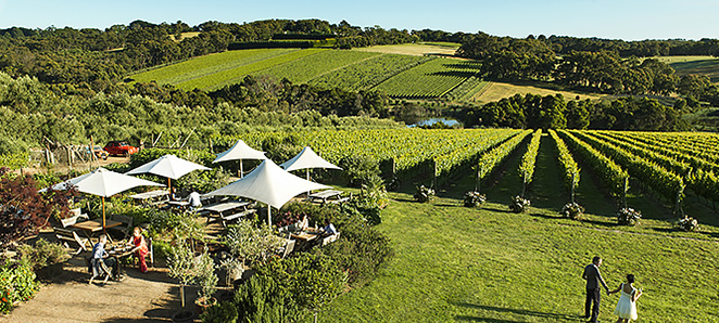 モンタルト・ビンヤード&オリーブ・グローブ(イメージ)