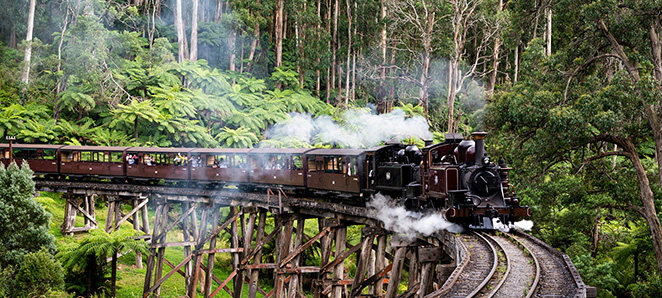 パッフィン・ビリー鉄道(イメージ)