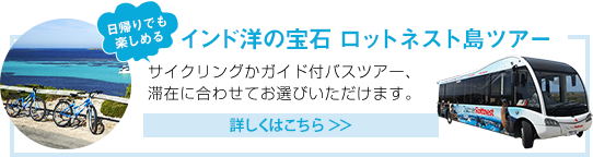 ロットネスト島ツアー