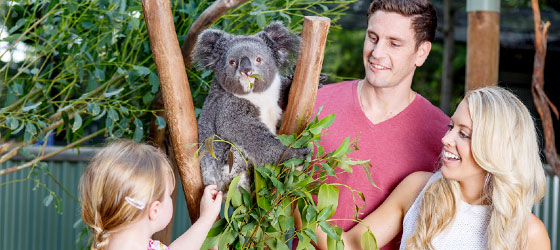 フェザーデール ワイルドライフ パーク(イメージ)