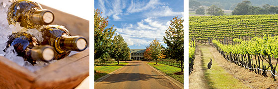 ハンターバレー(イメージ)