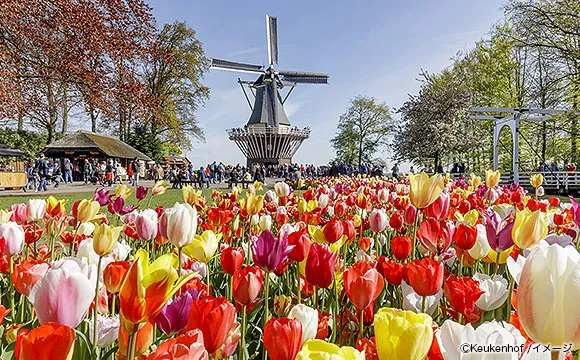 イメージ画像：世界最大のチューリップ公園（オランダ）