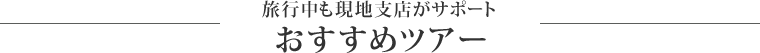 旅行中も現地支店がサポート おすすめツアー