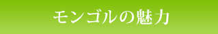 モンゴルの魅力