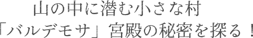 山の中に潜む小さな村「バルデモサ」宮殿の秘密を探る！