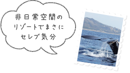 非日常空間のリゾートでまさにセレブ気分