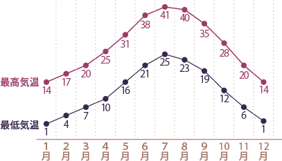 年間の気温グラフ