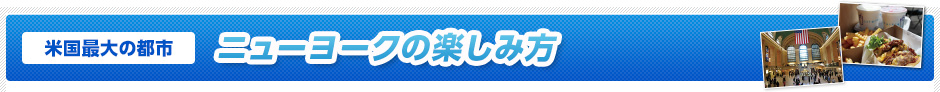 米国最大の都市　ニューヨークの楽しみ方