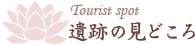 遺跡の見どころ
