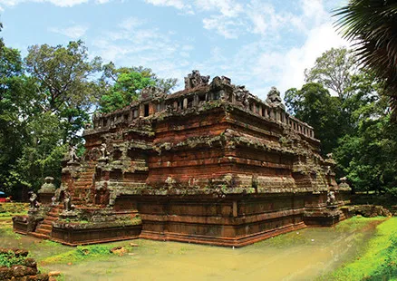 写真:ピミアナカス