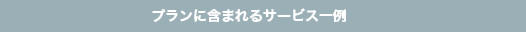 プランに含まれるサービス一例