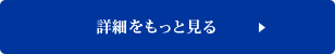 詳細をもっと見る