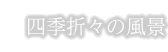 四季折々の風景