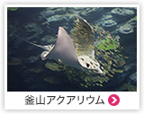 釜山アクアリウム
