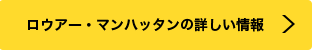 ロウアー・マンハッタンの詳しい情報