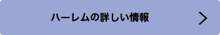 ハーレムの詳しい情報