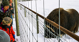 ユーコン野生動物保護区