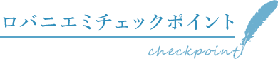 ロバミエミチェックポイント